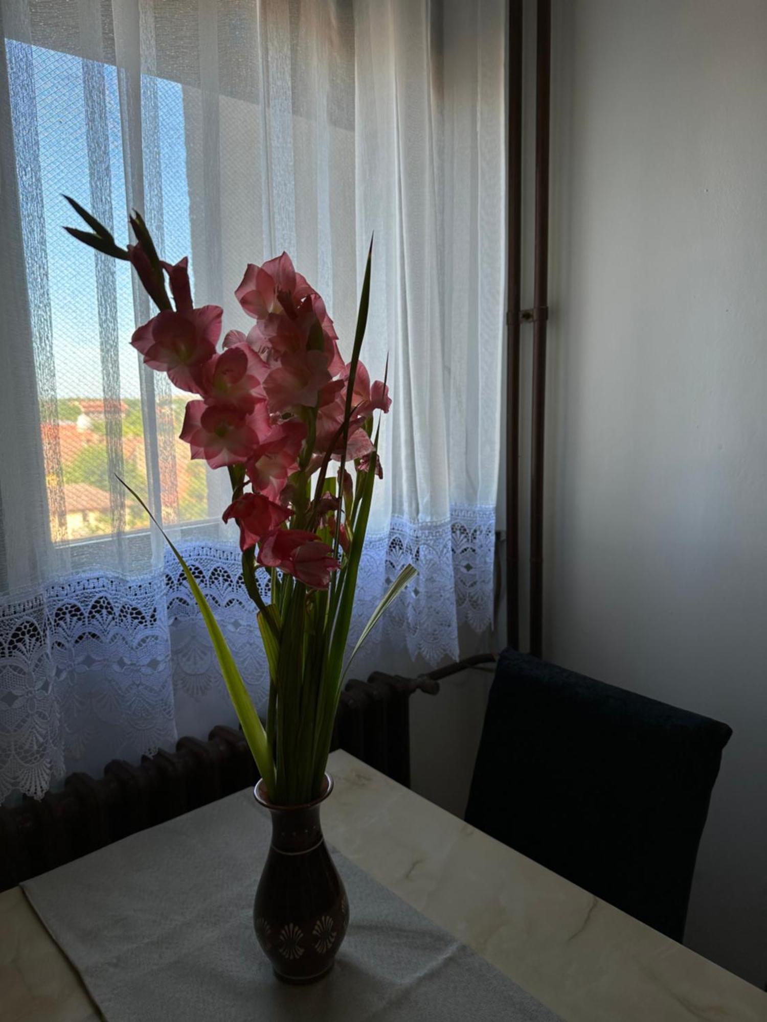Tamaris Apartment ซูโบติกา ภายนอก รูปภาพ